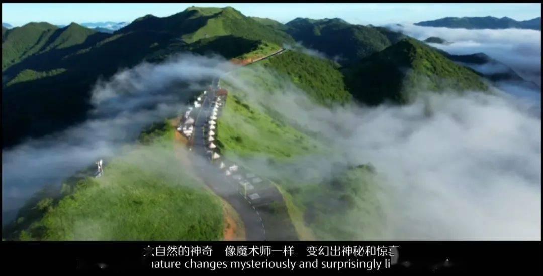 妙鸭相机app下载官网